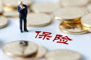 再保险积极参与全球风险治理