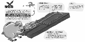 多地保监局排查保险中介非法经营 公众号成高危区